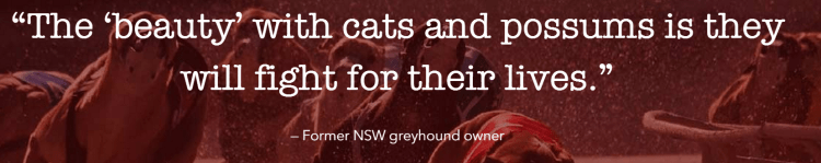 The Truth About Greyhounds Part 1: Greyhound Racing in Australia