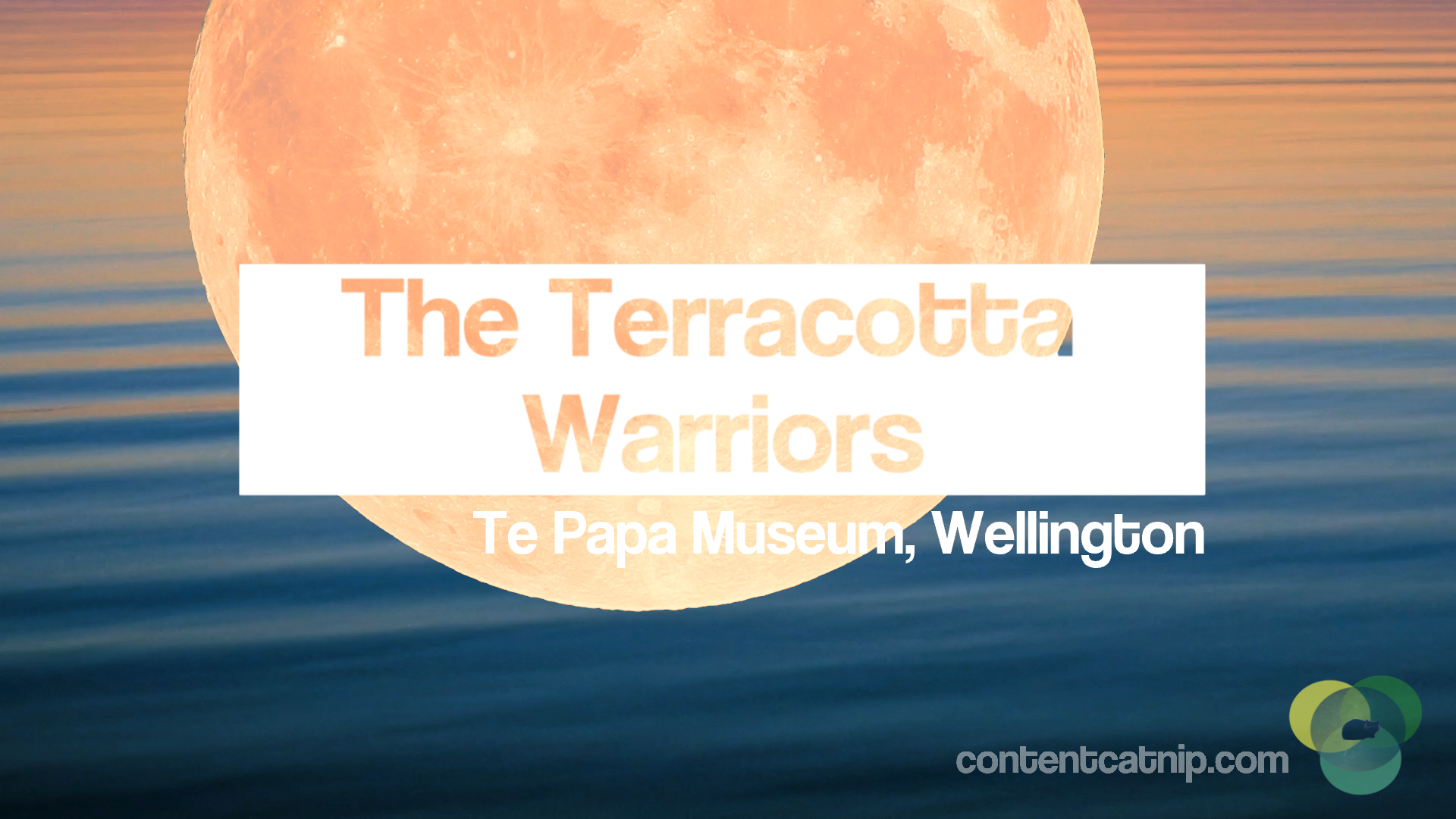 Day out in Wellington: The Terracotta Warriors at Te Papa Museum Copyright © Content Catnip https://youtu.be/qzl3CWQaXxM