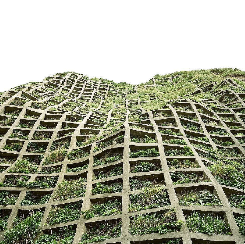 "Attitude is a little thing that makes a big difference." ~Winston Churchill