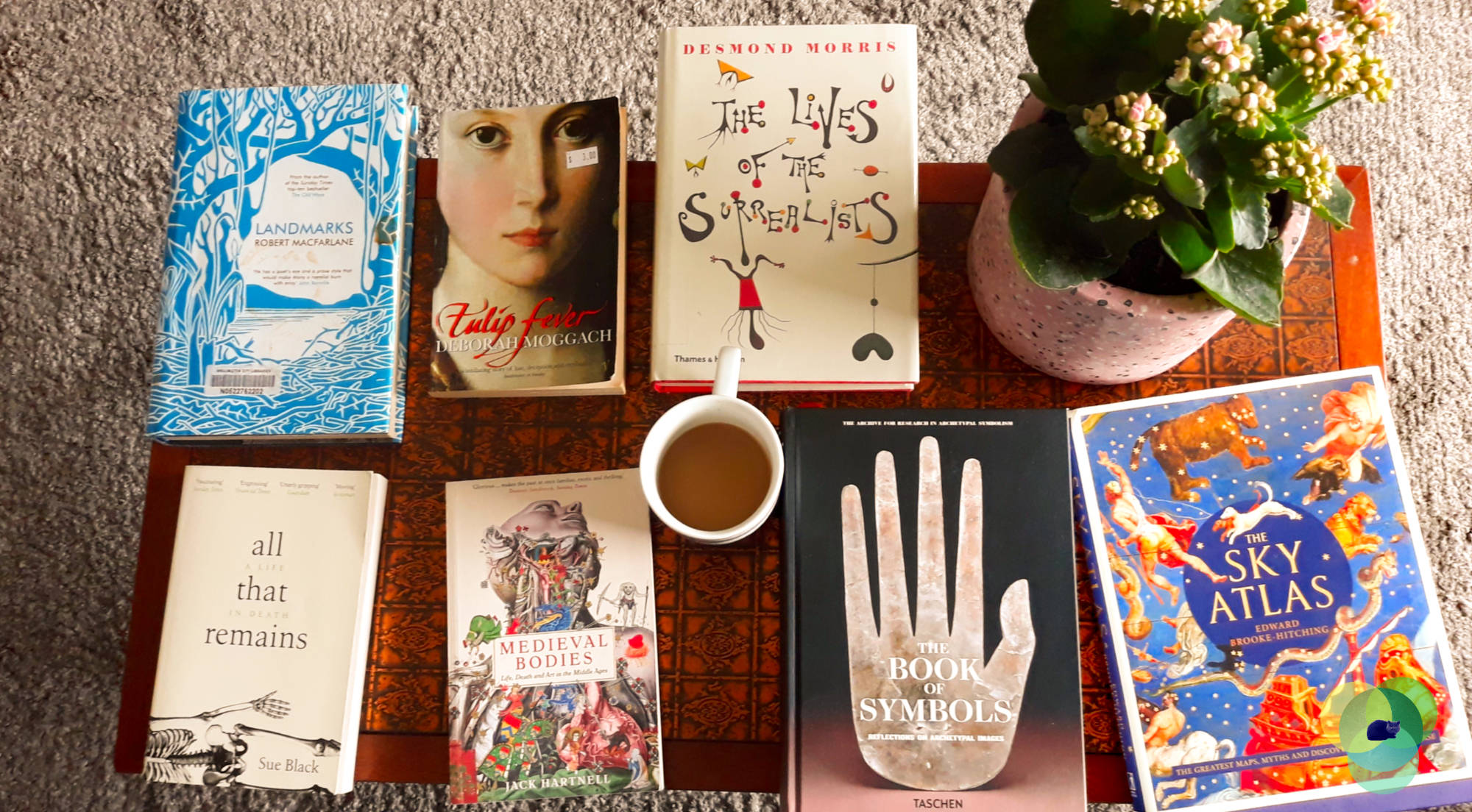 The Book of Symbols: Reflections of Archetypal Images by the Archive for Research into Archetypal Sybolism (Taschen)