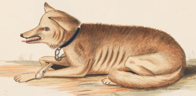 Unseen Art from Australia’s First Fleet http://wp.me/p41CQf-8h