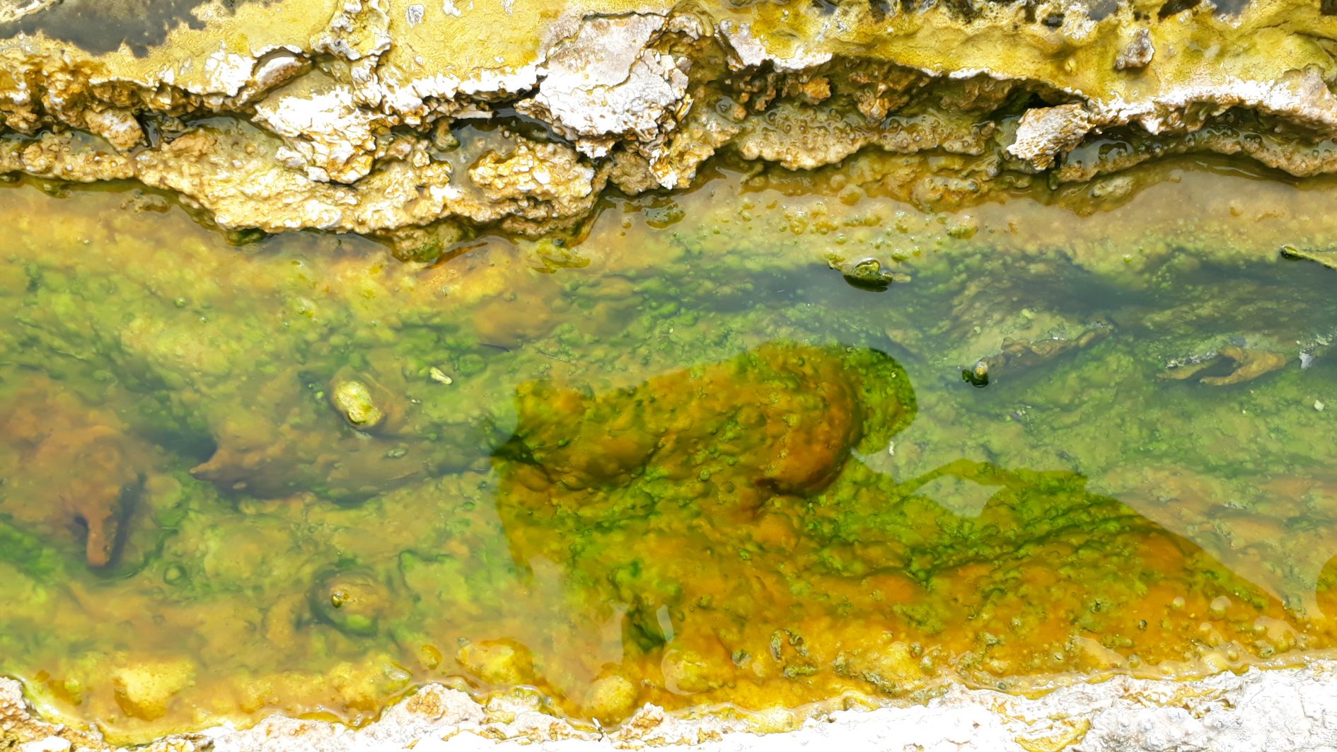 Life on an unstable landmass: Taupo and Rotorua Part Two