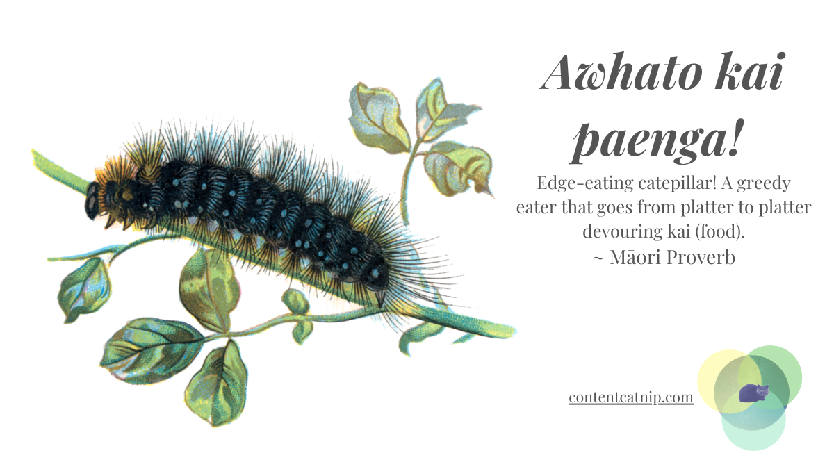 Awhato kai paenga! Edge-eating caterpillar! A greedy eater that goes from platter to platter devouring food at parties. ~ Māori Proverb #TeWikioteReoMāori #MāoriLanguageWeek #MahuruMaori