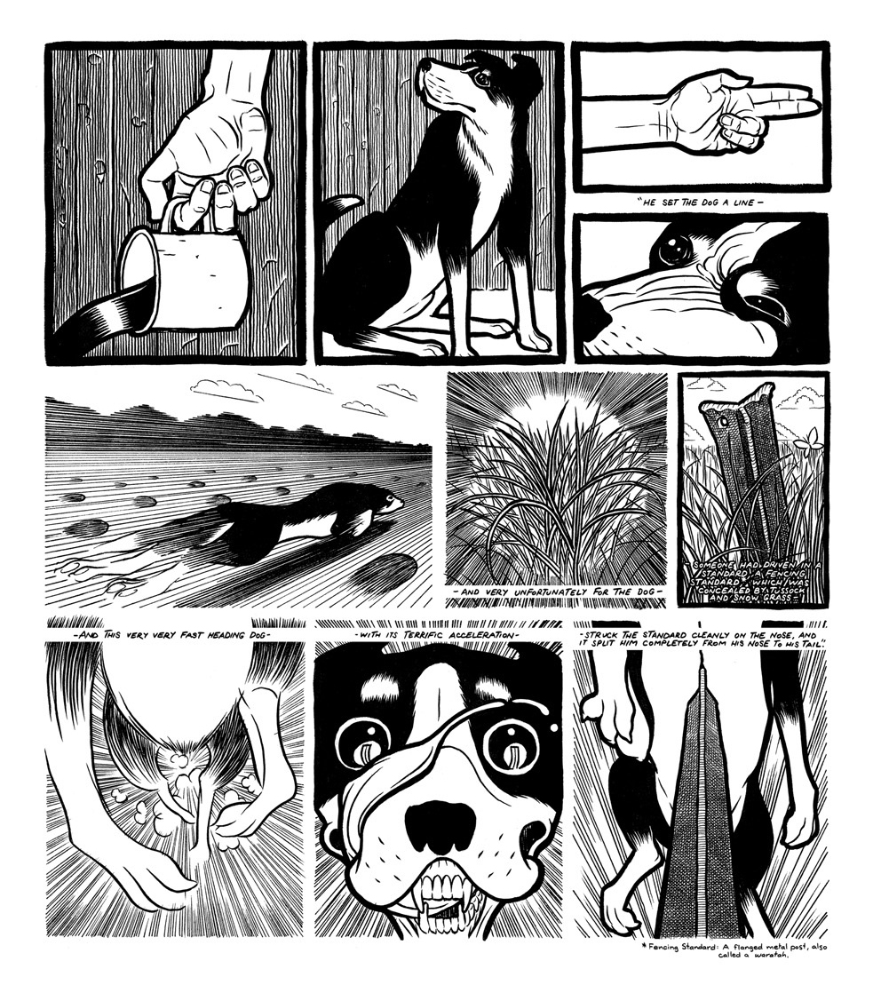 Book Review: The Heading Dog That Split in Half by Brown and Tait