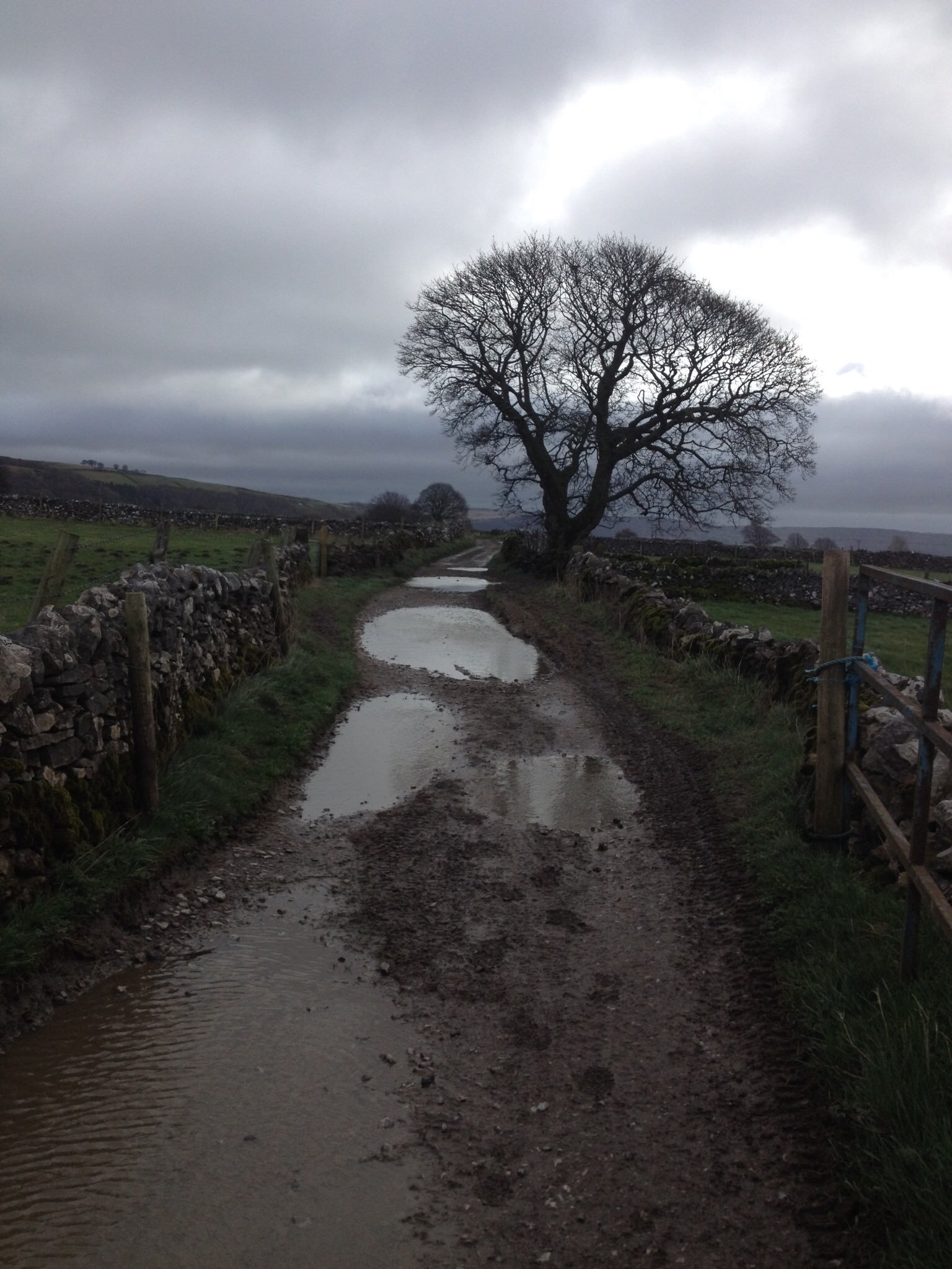 Ancient word of the day: Bóithrín