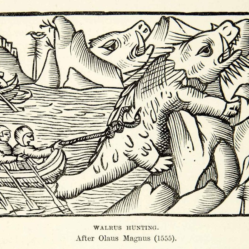 Here be the Viking Hoard: The Mystery of the Lewis&nbsp;Chessmen