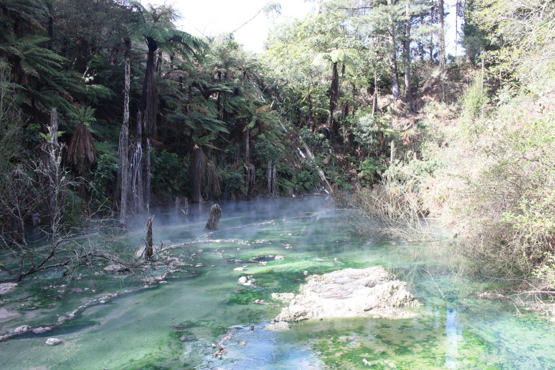 An excellent MTB adventure in Huka Falls, Taupo