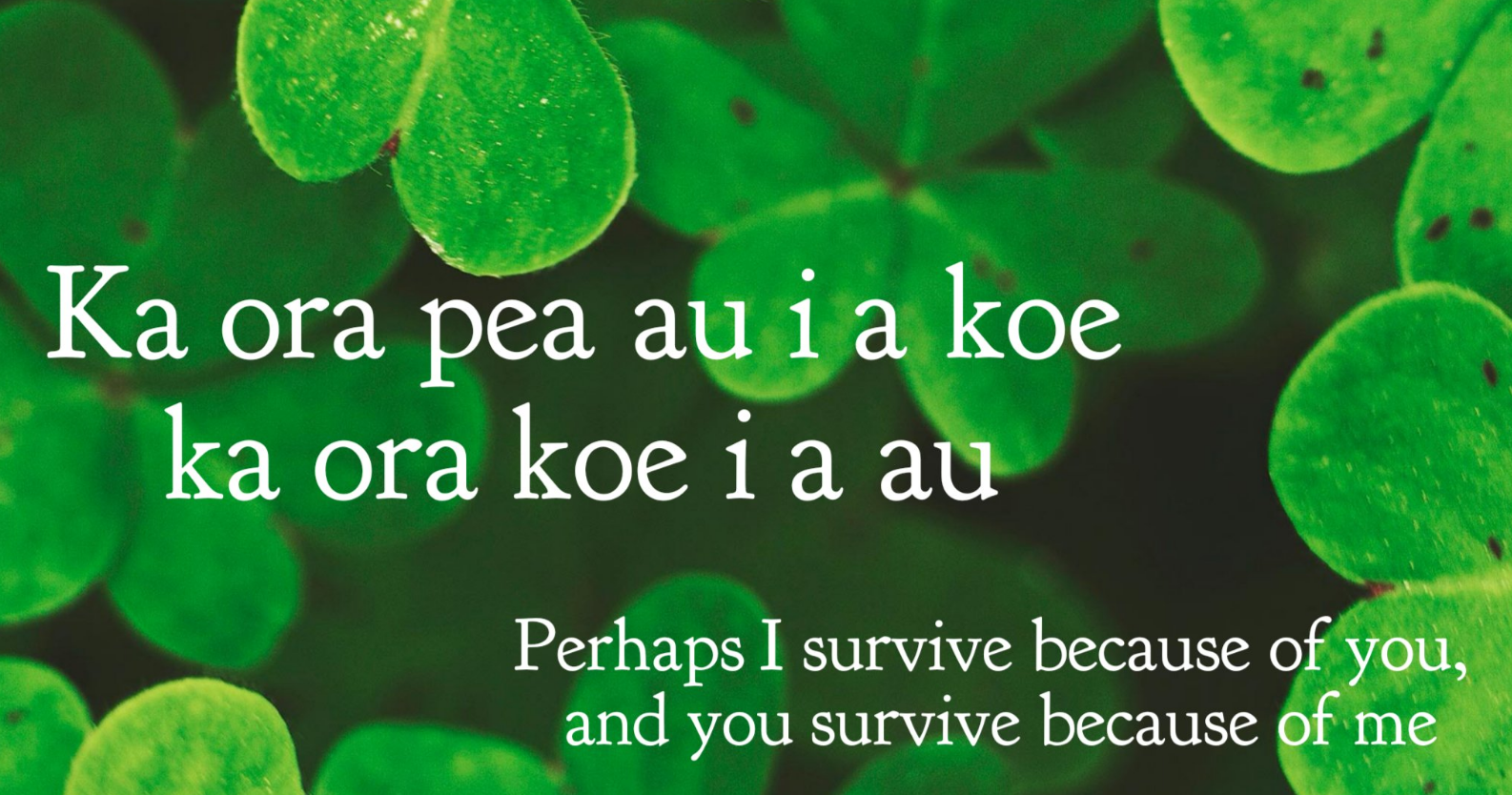 Beautiful and meaningful Maori proverbs for the current world