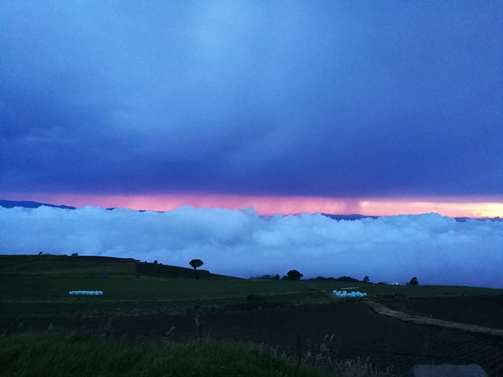 Maori nature ancient