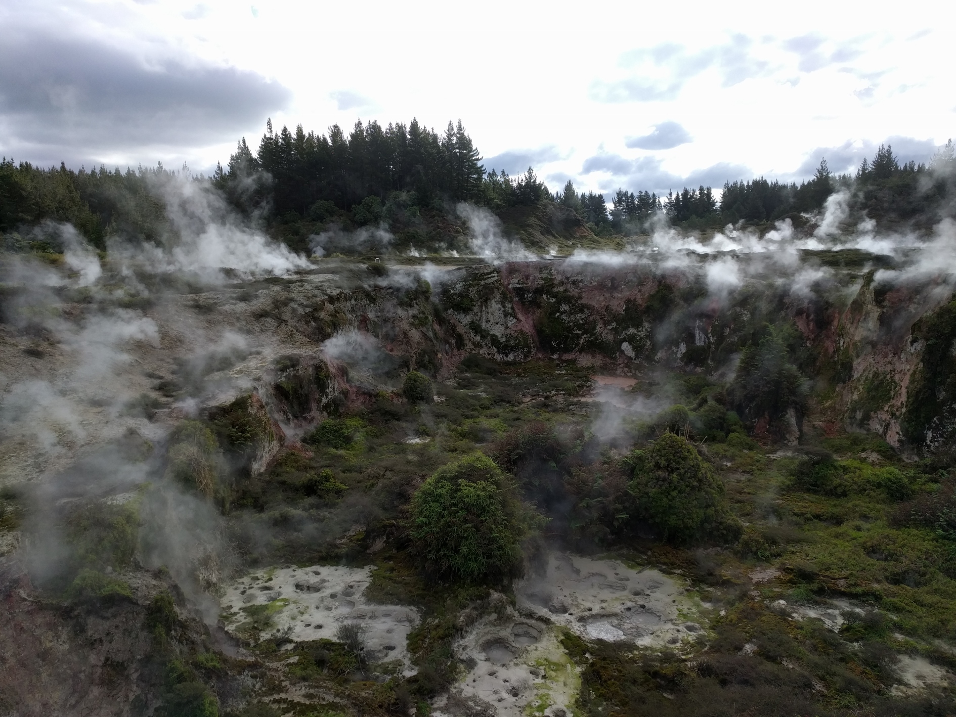 Welcome to the rumbling belly of the shaky isles: Taupo and Rotorua Part Two