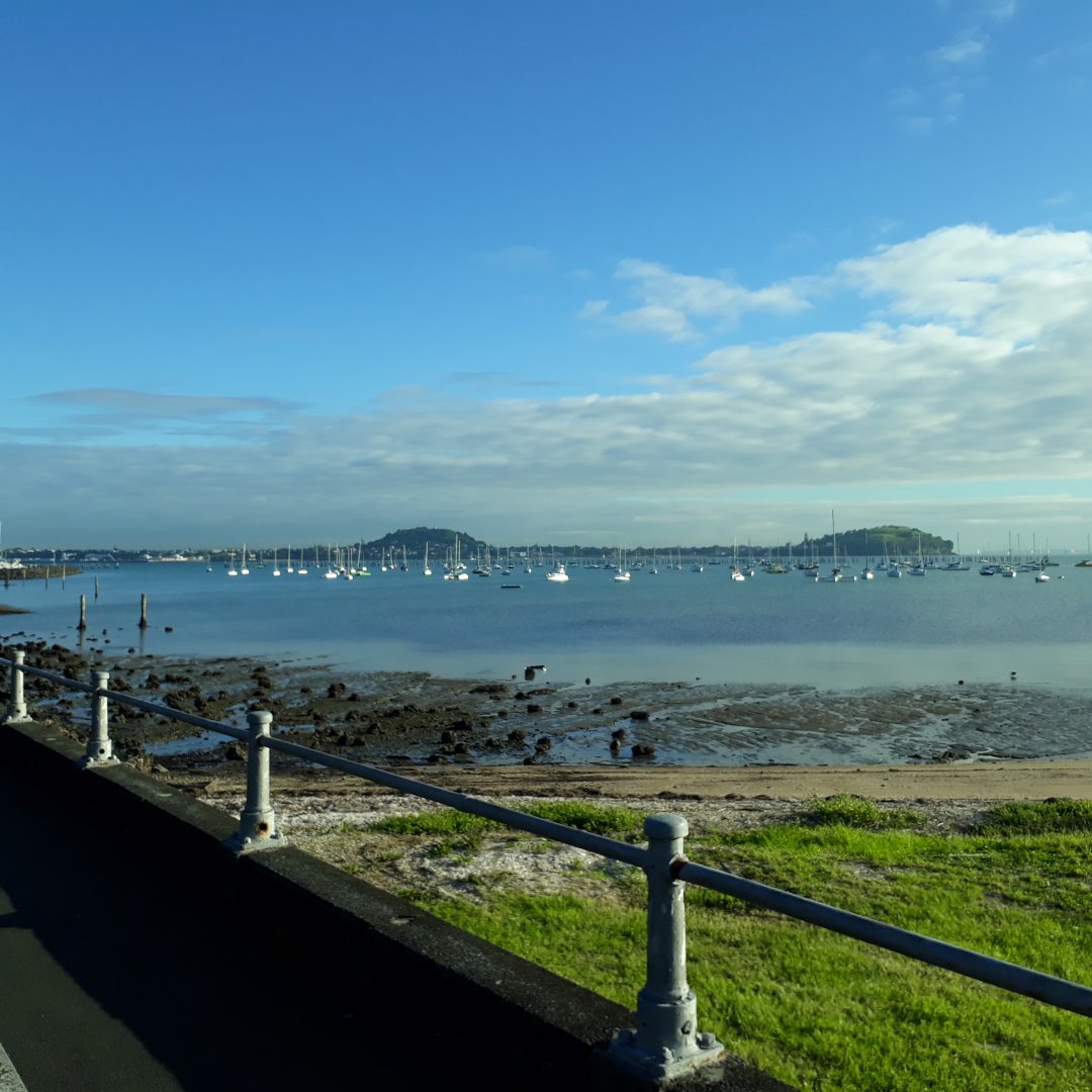 Great Cycle Routes of Auckland