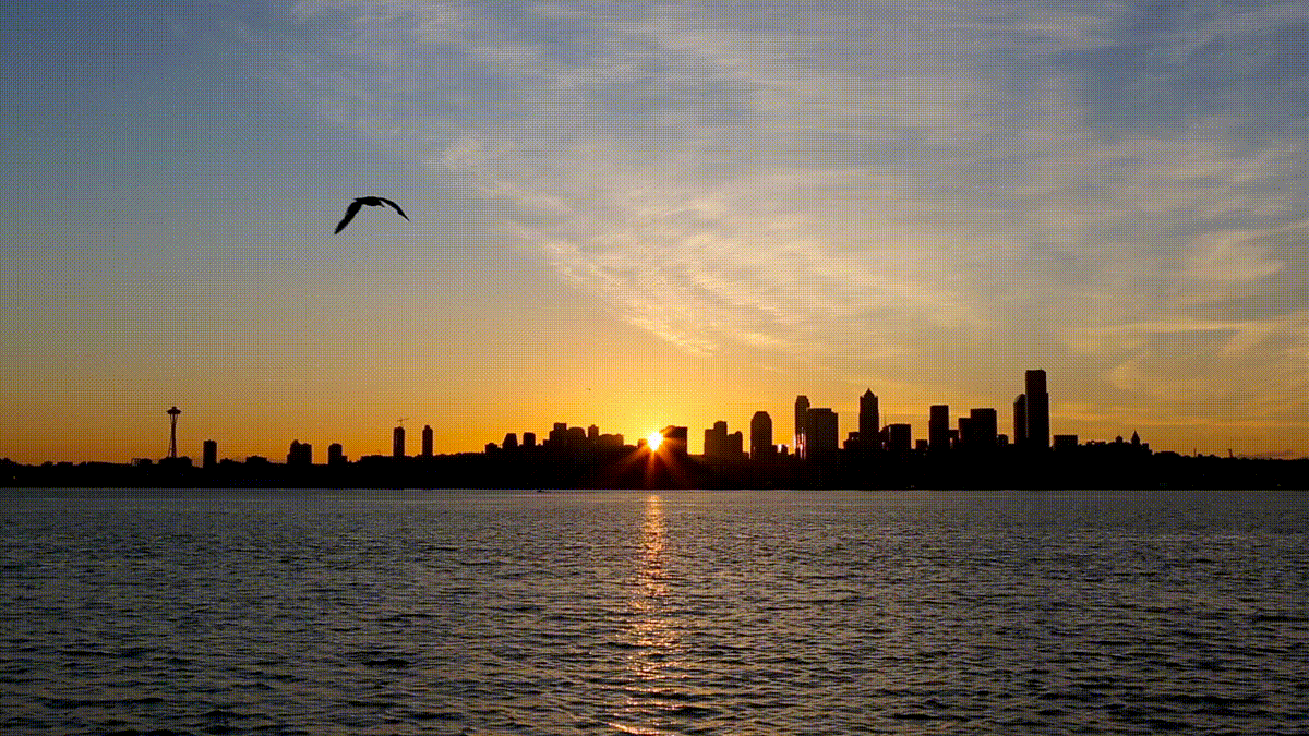 Morning flight over seattle