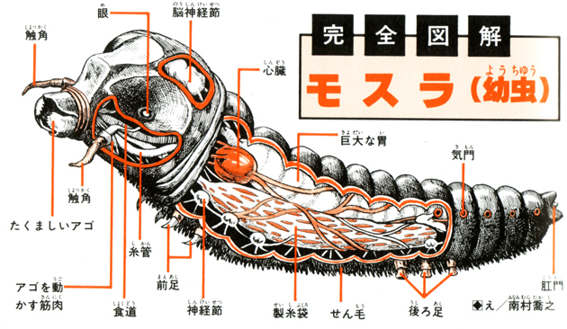 An Anatomical Guide to Godzilla and other Gigantic Japanese monsters