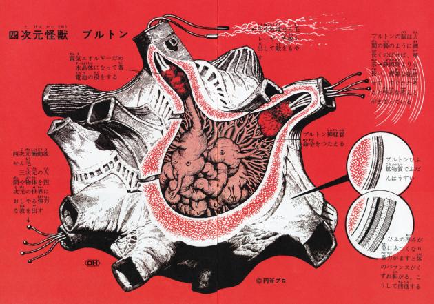 An Anatomical Guide to Godzilla and other Gigantic Japanese monsters