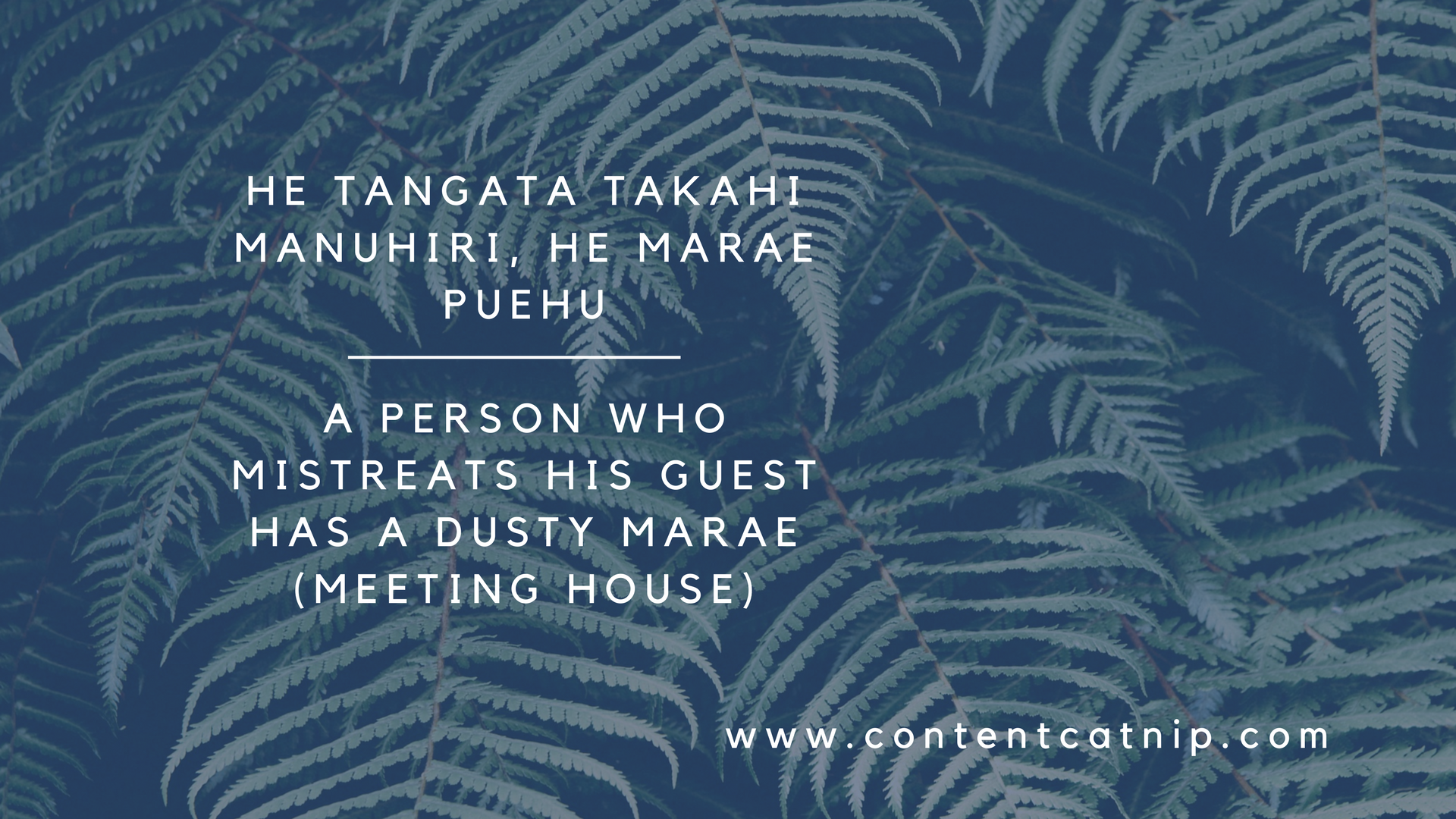 Te Ao Maori and the aesthetics of cosiness