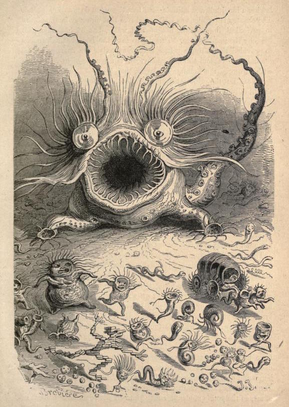 The Private Lives of Animals circa 1842