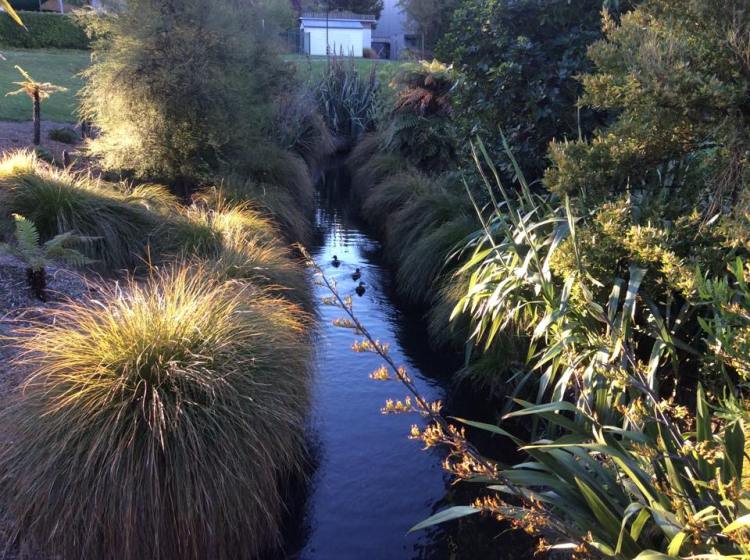 Christchurch in springtime is full of magic 