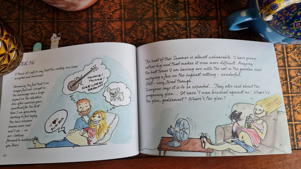 Book Review: The Pregnancy Diaries Vol. 1 by Googie McCabe