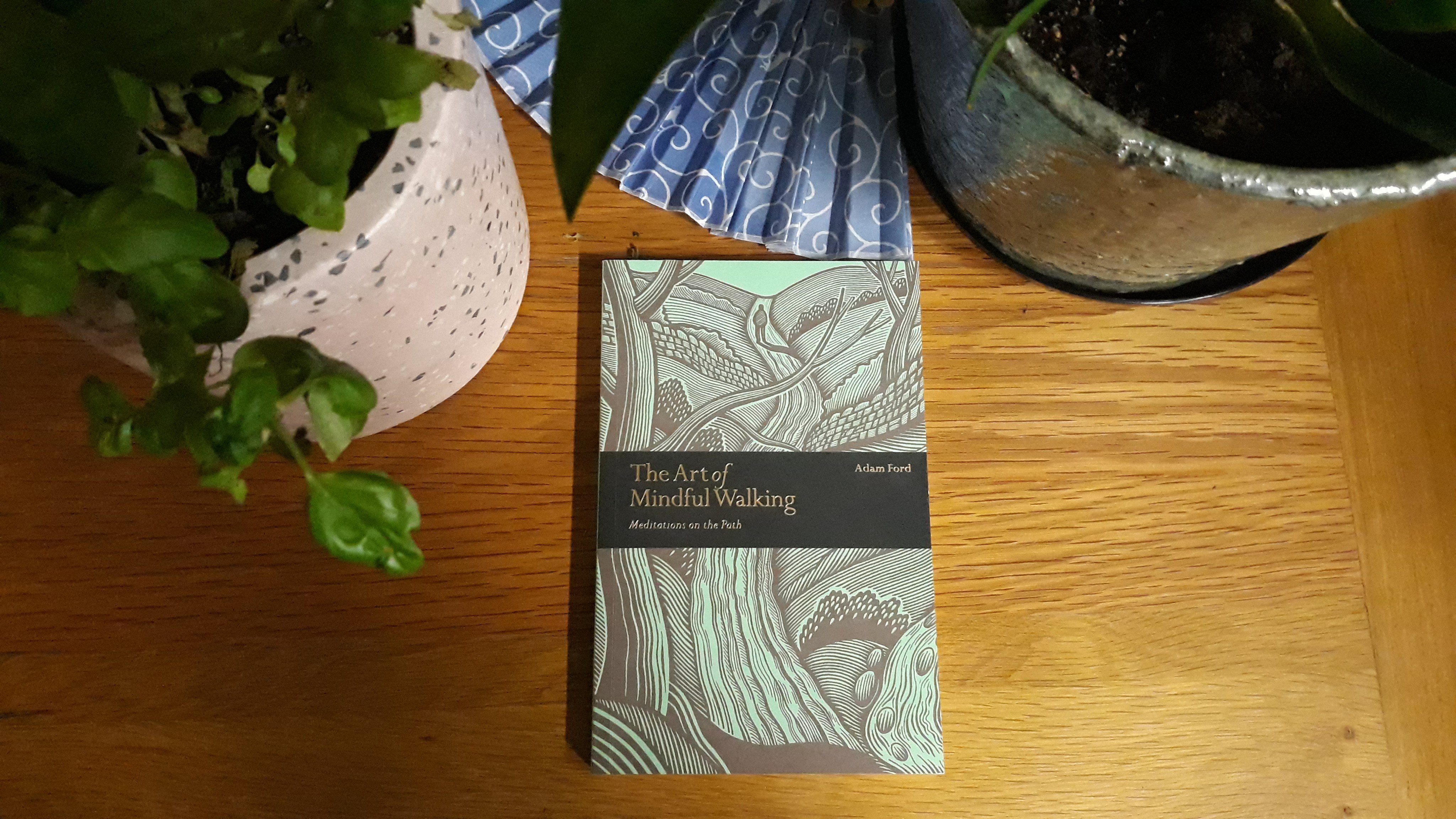 Book Review: The Art of Mindful Walking by Adam Ford