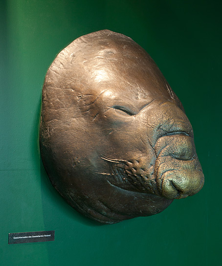 Roland: Gargantuan Elephant Seal From Berlin
