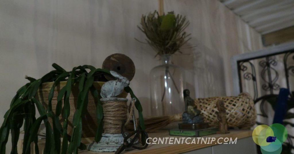 A roadtrip through the Bay of Plenty and Eastern Cape of the North Island