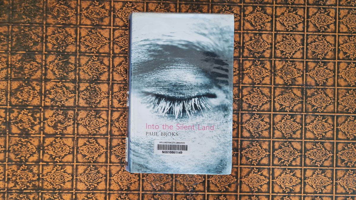 Book Review: Into the Silent Land by Paul Broks