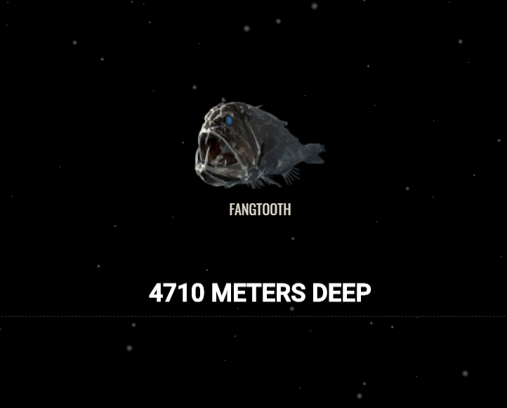 Amazing Website Alert: The Deep Sea by Neal Fun 