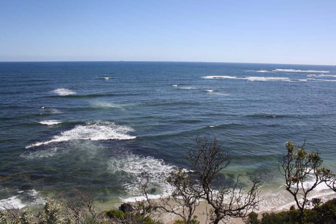 Summer in Melbourne Part 1: Mushroom Reef Sanctuary, Flinders.