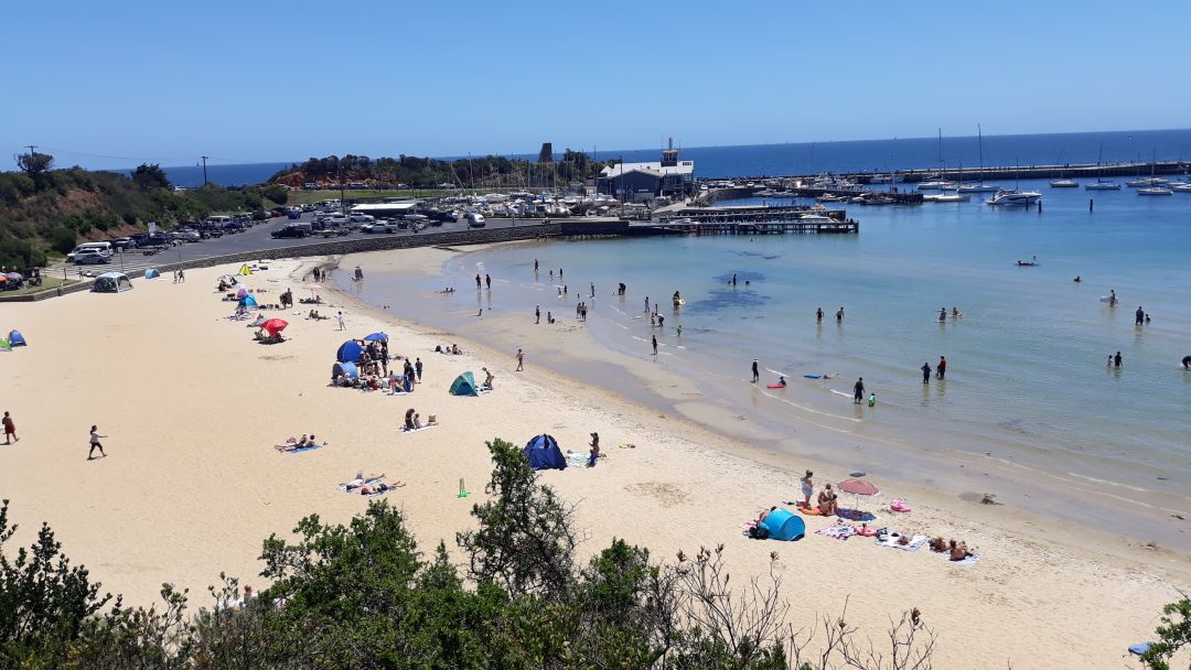 Mother's beach in Mornington by Content Catnip Copyright 2018