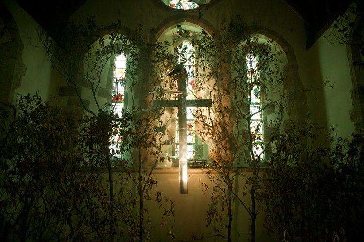 Churches, Weeds, Wildflowers and Wonder