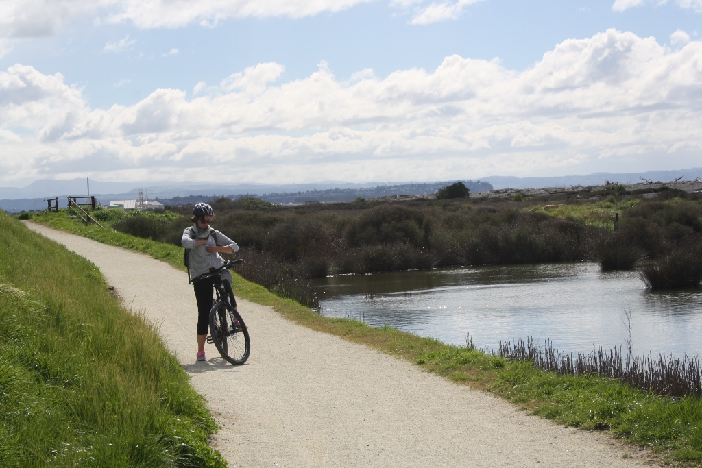 Travel: Napier's remote beaches and wineries by bike