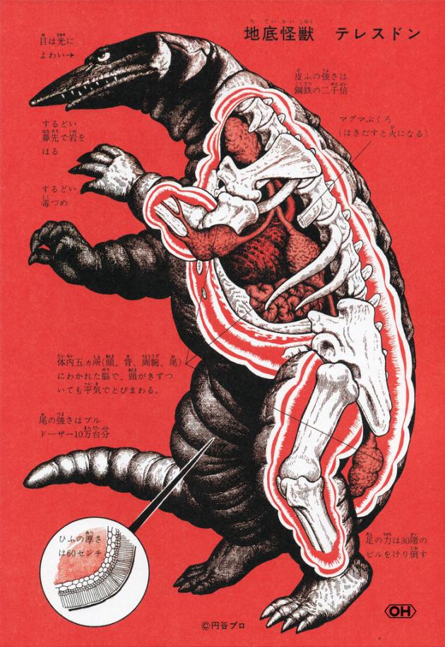 An Anatomical Guide to Godzilla and other Gigantic Japanese monsters