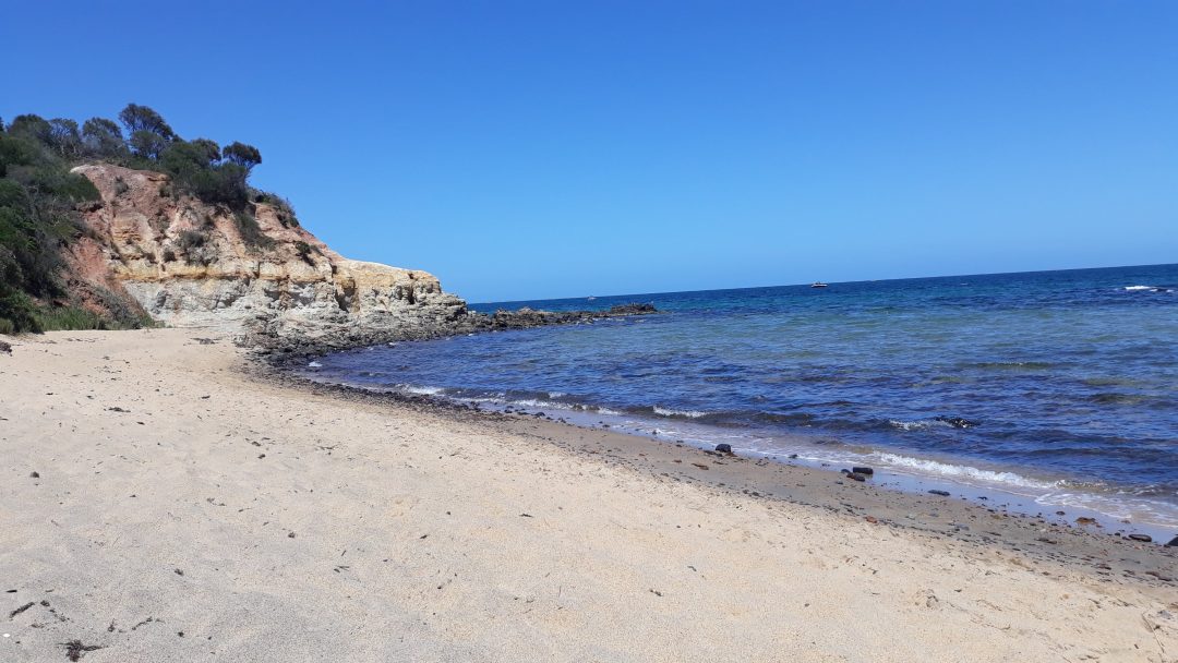 Mother's beach in Mornington by Content Catnip Copyright 2018