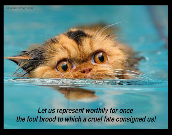 Samuel Beckett and Cats Talk About The Pointlessness of Existence