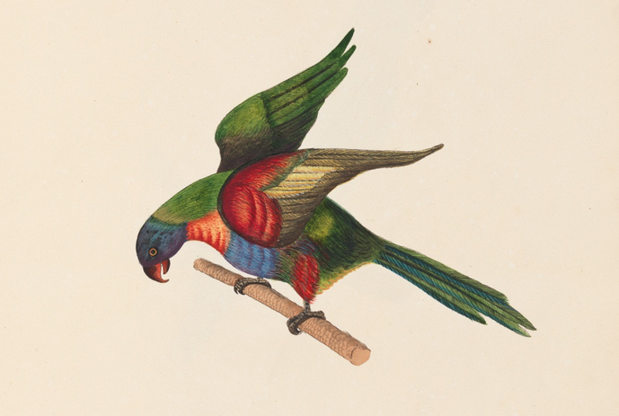 Unseen Art from Australia’s First Fleet http://wp.me/p41CQf-8h