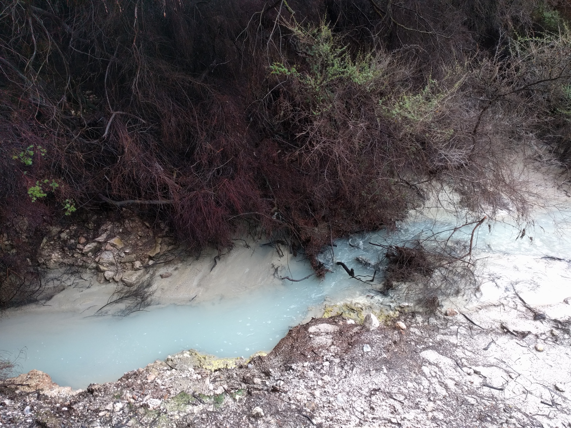 Welcome to the rumbling belly of the shaky isles: Taupo and Rotorua Part Two