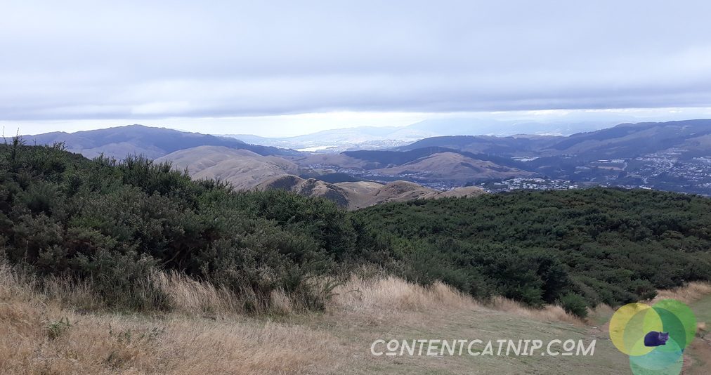 Wellington's moody views from the top of Mount Kaukau