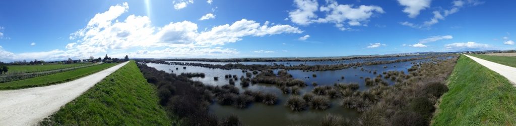 Travel: Napier's remote beaches and wineries by bike