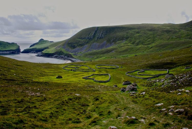 Book Review: Island of Wings by Karin Altenberg