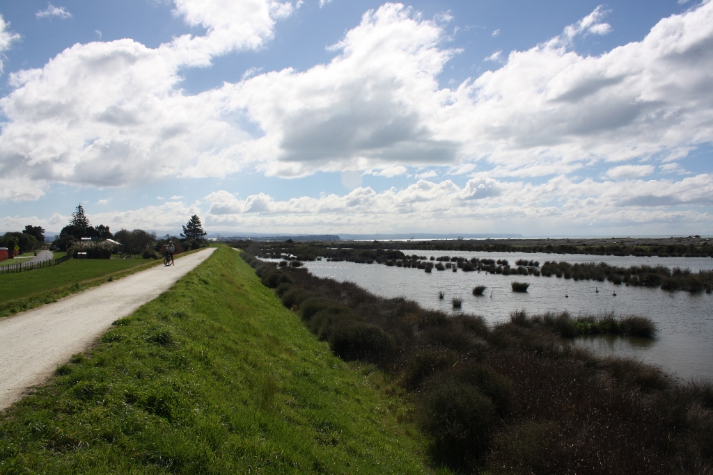 Travel: Napier's remote beaches and wineries by bike