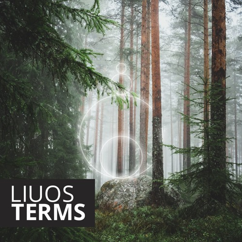 Artists & Writers in Their Own Words: Jari Österberg AKA Liuos