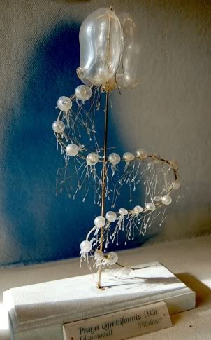 Exquisite Marine Invertebrates of the 19th Century http://wp.me/p41CQf-rWG