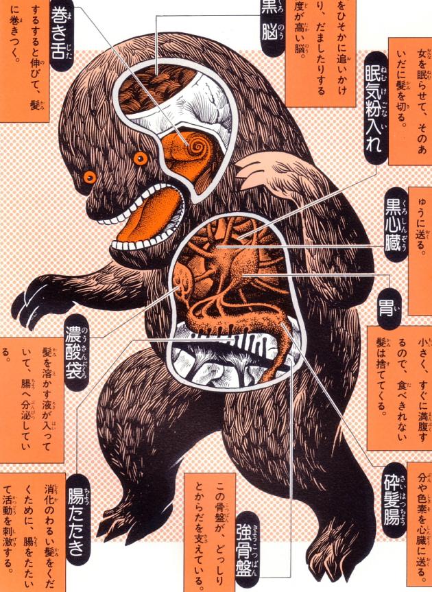 An Anatomical Guide to Godzilla and other Gigantic Japanese monsters