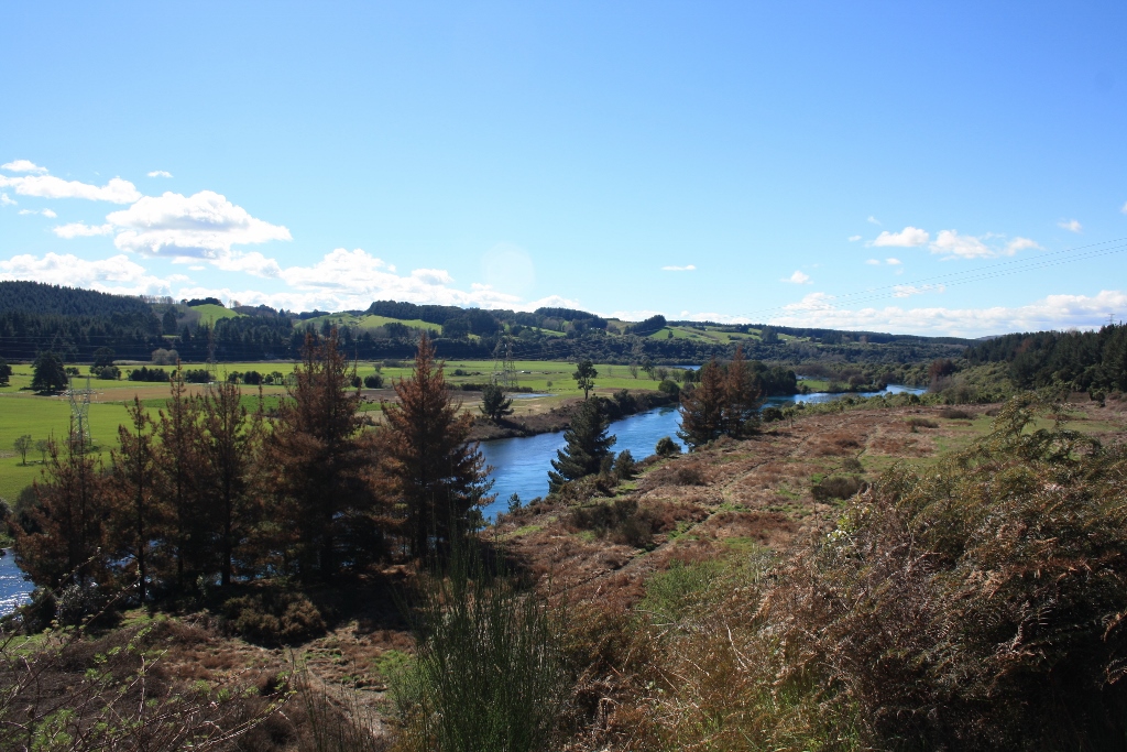 An excellent MTB adventure in Huka Falls, Taupo
