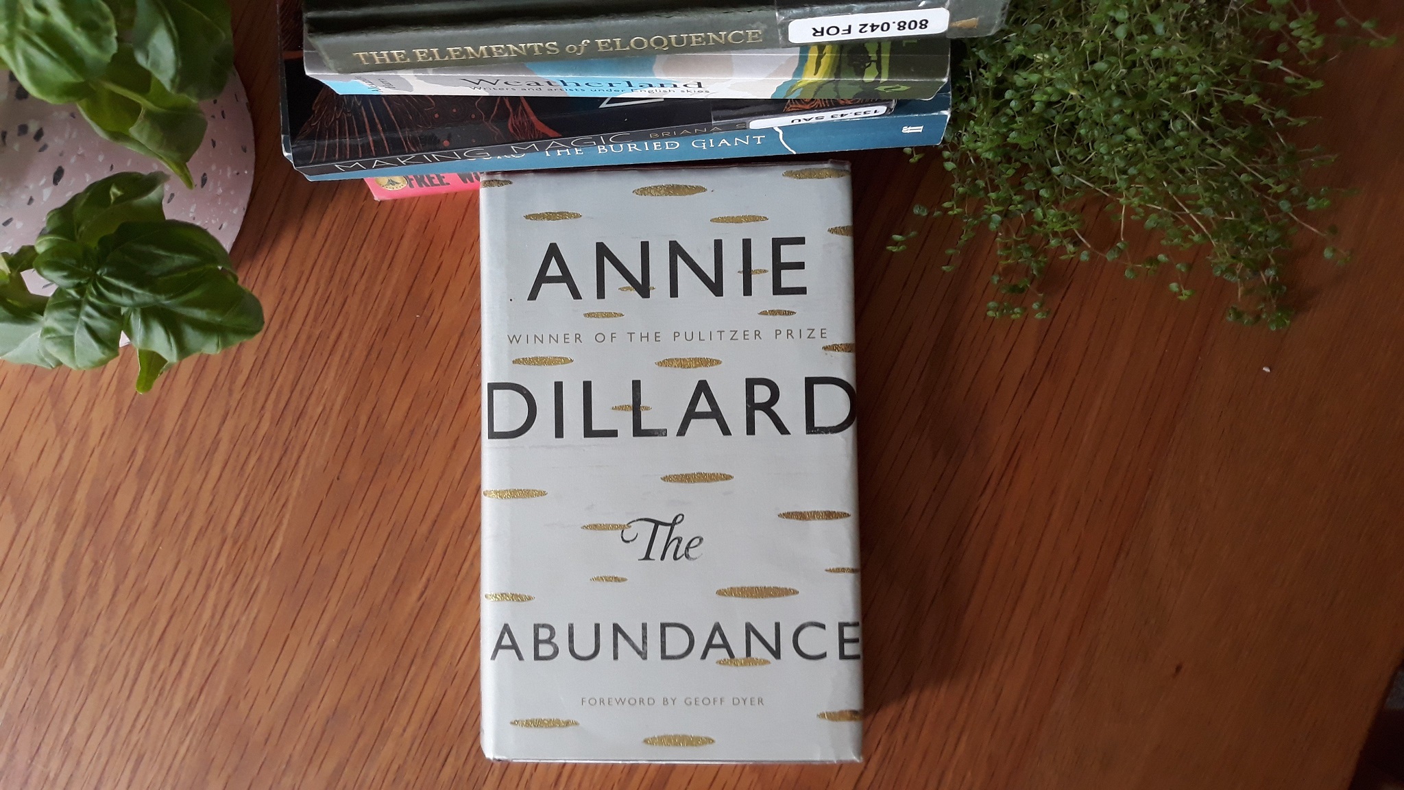 Book Review: The Abundance by Annie Dillard