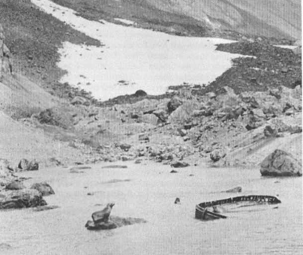 Welcome to the most remote island in the world...Bouvetøya