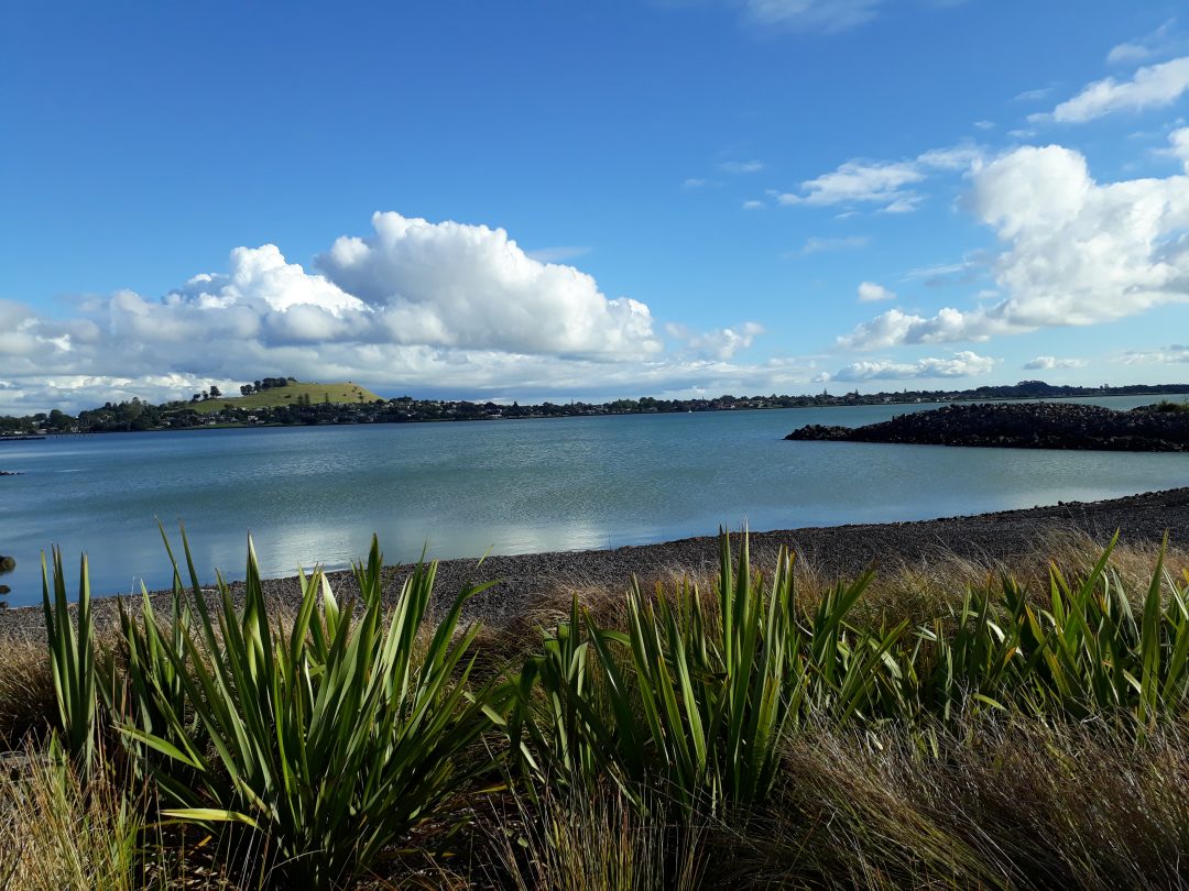 Foreshore cycle path in Onehunga