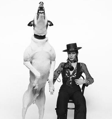 David Bowie’s Top 100 Favourite Books http://wp.me/p41CQf-3R