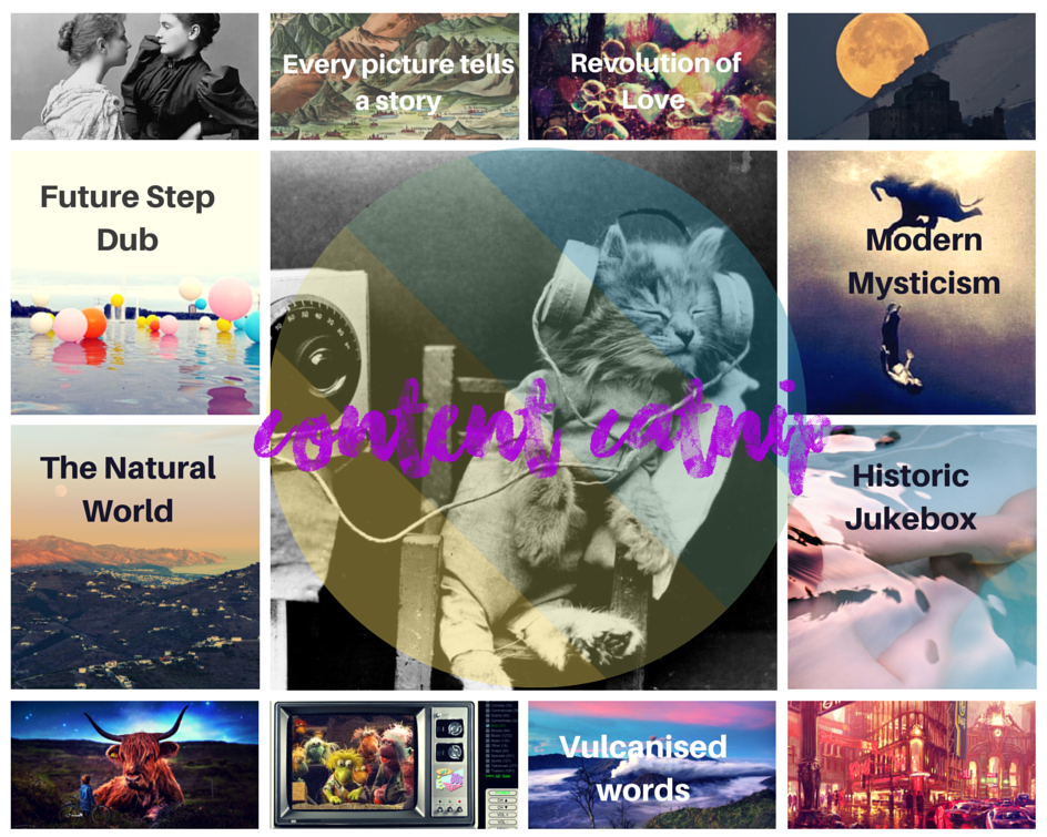 Home - Content Catnip Catergories