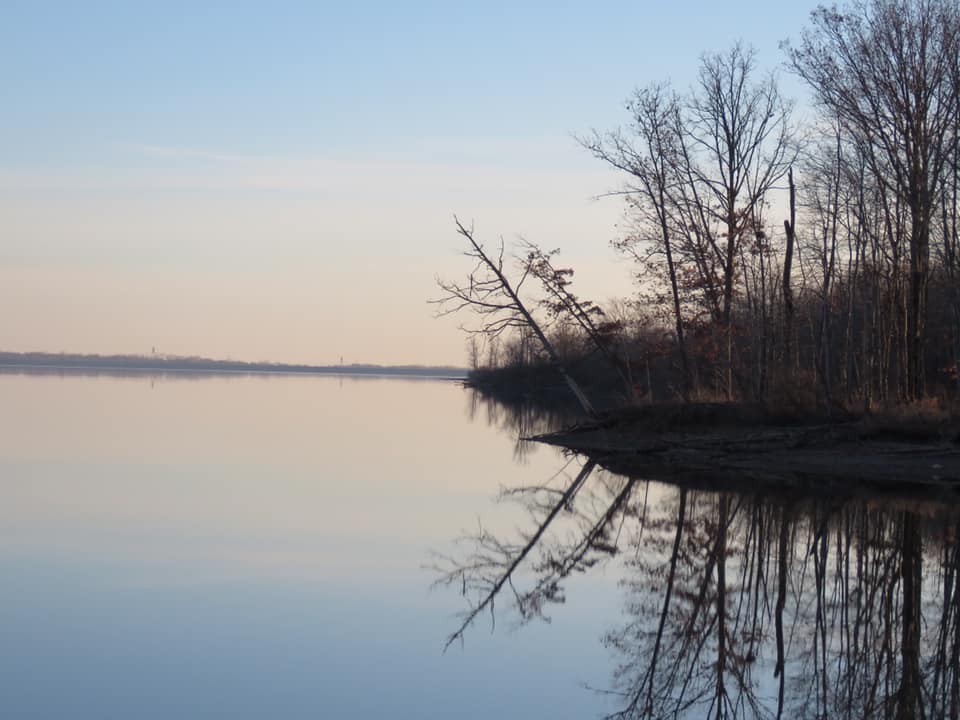 Artists & Writers in Their Own Words: Jarod K Anderson AKA The Cryptonaturalist